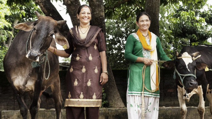 Nepalese women living on the edge of Suklaphanta national park were given seed funding and advice to buy smaller herds of more productive cattle and create sustainable pastures