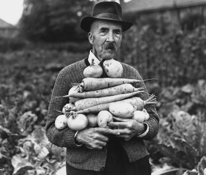 John Hall, 89, with prize-winning vegetables at his allotment at Foots Cray, London, 1942