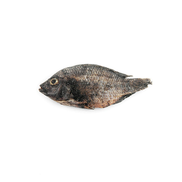 Small, brittle, dried fish such as this are used as a food seasoning; a bag of seven costs around CFA Fr200 (27p).