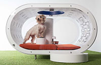 Gracie, a terrier cross, tries out the Samsung Dream Doghouse created by the tech firm to celebrate their sponsorship of Crufts 2015 Ð which starts on Thursday 5th March at The NEC Birmingham