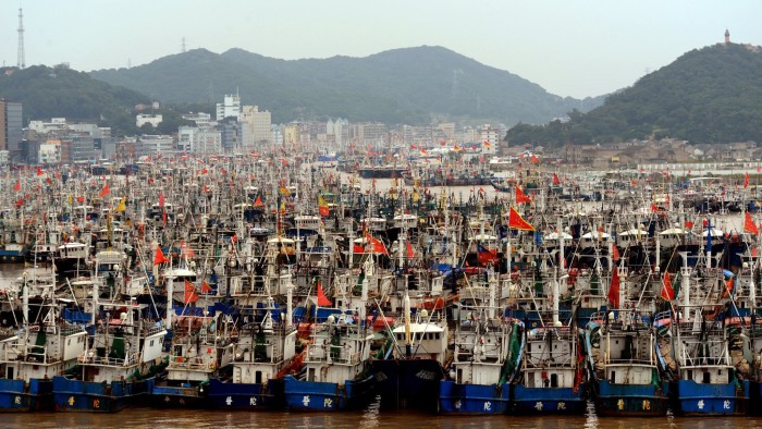 ZHOUSHAN, CHINA - OCTOBER 12: (CHINA OUT) Fishing boats dock at Shenjiamen Fishing Port to take refuge from the nineteenth typhoon &quot;Vongfong&quot; on October 12, 2014 in Zhoushan, Zhejiang province of China. The nineteenth typhoon &quot;Vongfong&quot; formed at Marshall Islands in north Pacific begins to affect the coastal area of China. (Photo by VCG/VCG via Getty Images)