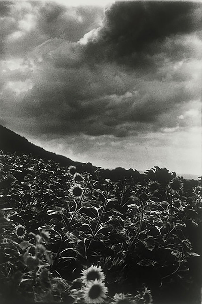 Ming Smith, Goghing with Darkness and Light, Singen, Germany, 1989, archival pigment print, 50.5 × × 40.5 cm, Courtesy of Jenkins Johnson Gallery