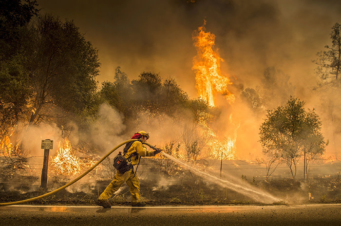 A Cal Fire firefighter waters down a back burn on Cloverdale Rd., near the town of Igo, Calif., Saturday, July 28, 2018. The back burn kept the fire from jumping towards Igo, Calif. Scorching heat, winds and dry conditions complicated firefighting efforts. (Hector Amezcua/The Sacramento Bee via AP)
