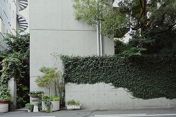 At Home with Tadao Ando