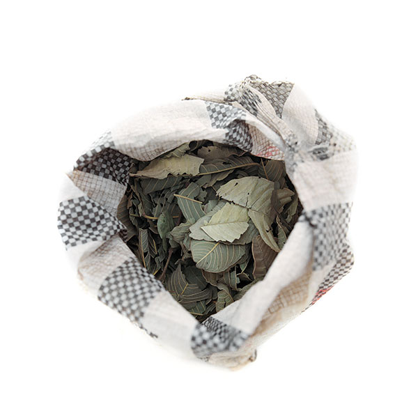 A bag of tanne leaves, used to flavour the bland boiled maize that is the most readily available foodstuff. This bag, bought in a local market, cost CFA Fr50 (about 7p).