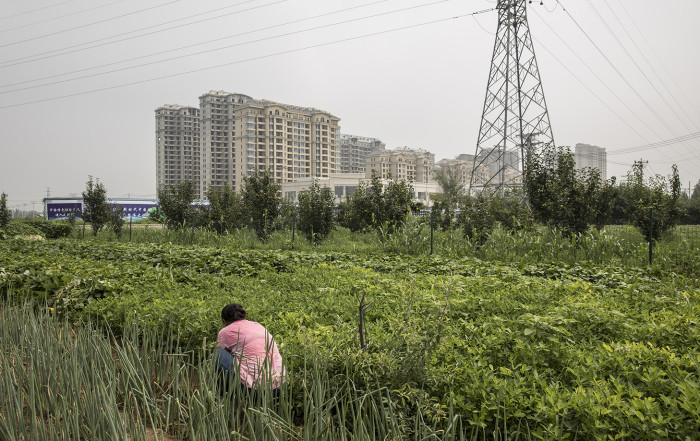 A woman tends to a vegetable garden as residential buildings stand in the background in the Rongcheng county of Xiongan, Hebei province, China, on Friday, July 27, 2018. Over a year ago, President Xi Jinping designated Xiongan to be a glittering new high-tech city teeming with leading-edge companies, research institutes and world-class transportation. Things are off to a slow start though, and locals tell of shuttered factories, lost jobs, and a gold rush gone bust in the sleepy region, which was known for its orchards and lotus flowers. Photographer: Qilai Shen/Bloomberg