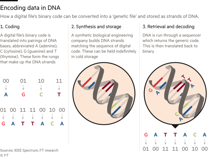 Graphic showing how to encode data in DNA