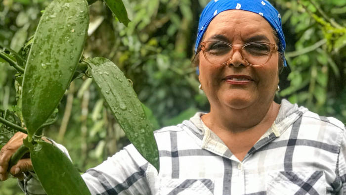 Amelia Paniagua-Vásquez of the University of Costa Rica at a vanilla plantation in Guápiles, Costa Rica, January 8, 2020. She has helped pioneer the cultivation of the plant in agroforestry systems on previously deforested land. "Agroforestry provides sustainability over time and helps combat climate change,” she says. Photo by FT journalist Jude Webber.