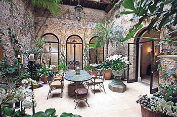Heyman's indoor garden 