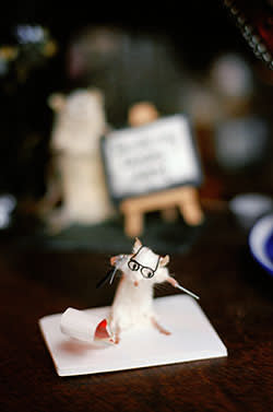 A miniature mouse reporter