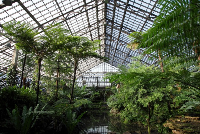 The Garfield Park Conservatory