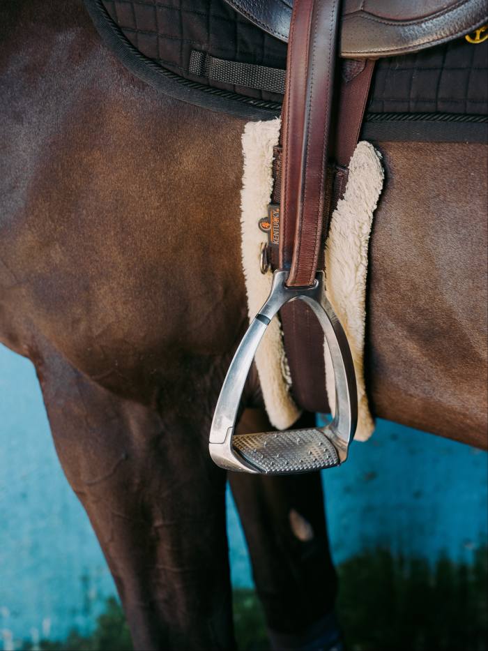 Dali’s stirrups and saddle