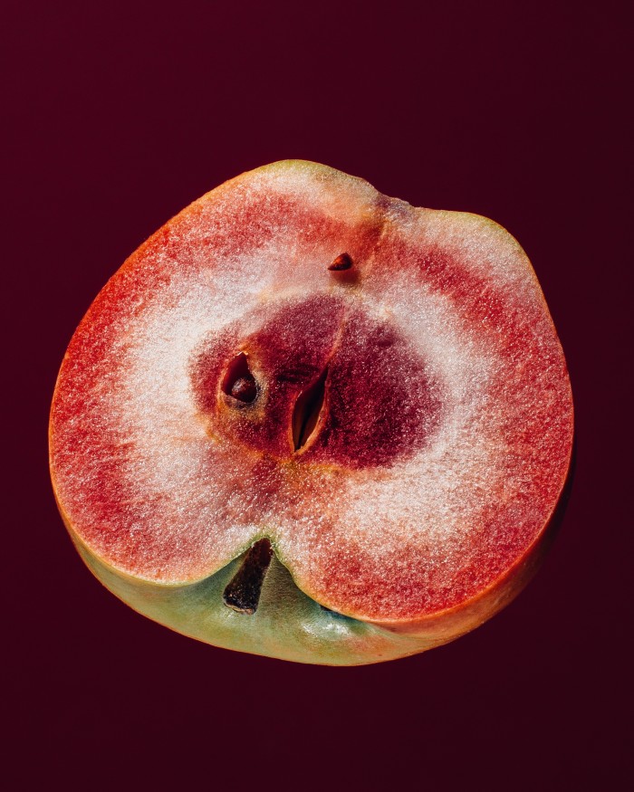  A Scarlet Surprise apple from Oregon, as seen in Odd Apples
