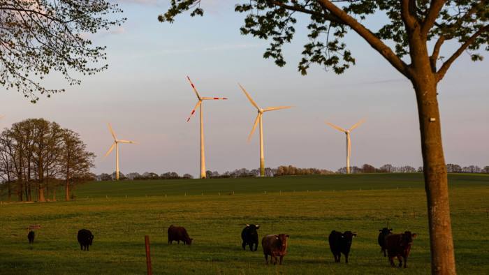 Wind turbines viewed across fields with cows in Brandenburg, Germany