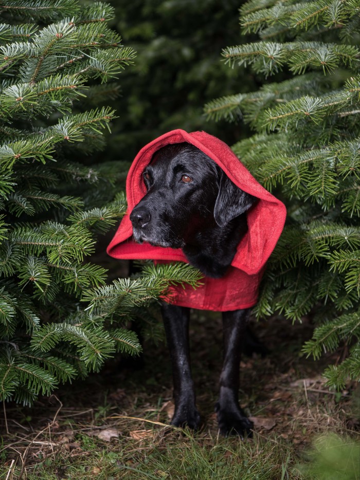 Ruff and Tumble classic dog drying coat, from £41.95