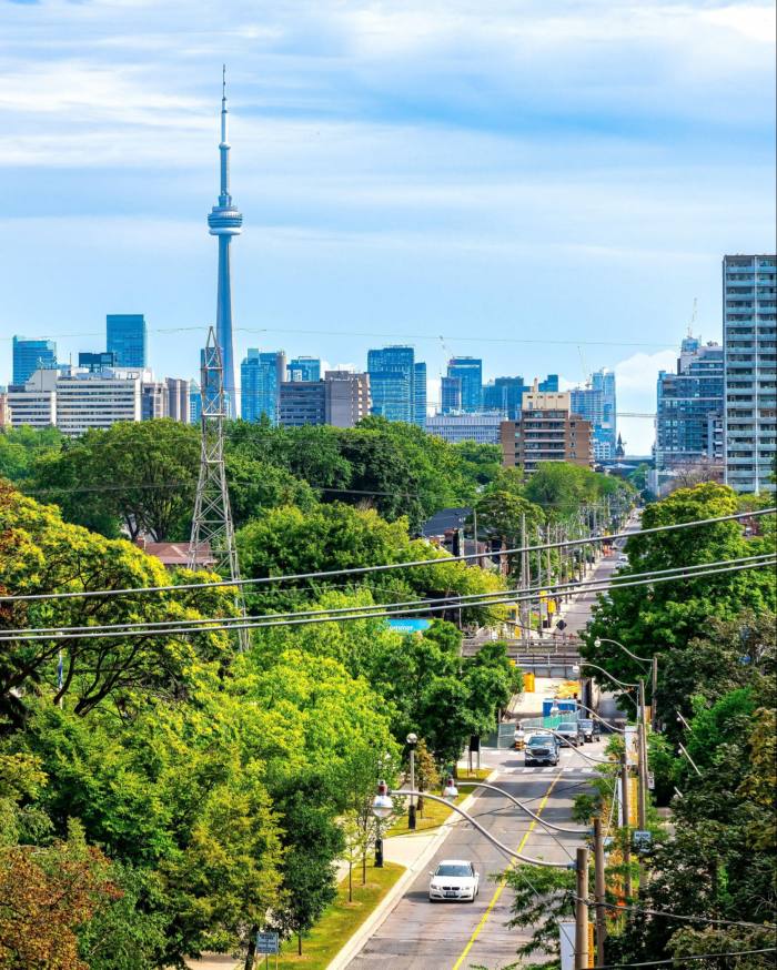 The Toronto skyline and CN tower, with a road and park in the foreground, as seen from the top of the 110 steps that lead up to Spadina House