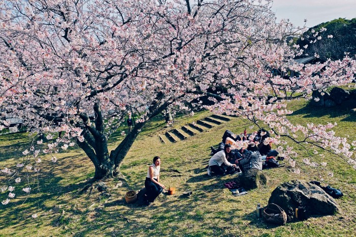 Spring blossoms at Mirukashi Salon