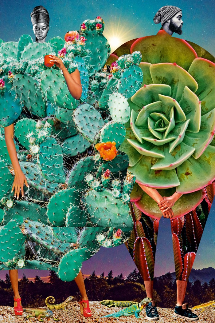  Cacti, 2019, by Johanna Goodman, from her Catalogue of Imaginary Beings series