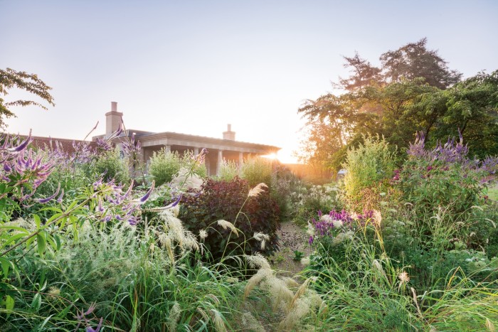 July in a walled garden in Wiltshire designed by Marcus Barnett Studio
