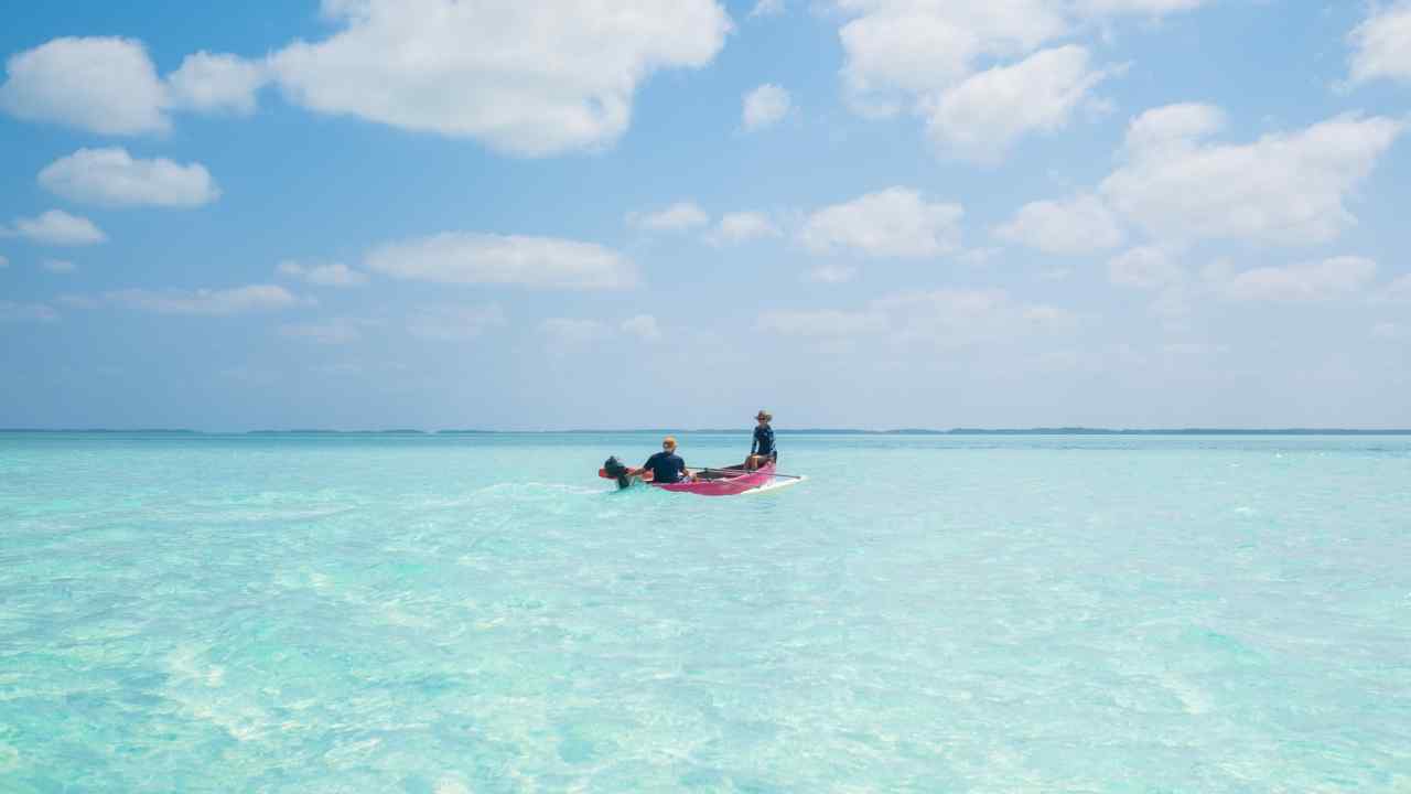 Two people sit on a rowing boat on tropical waters