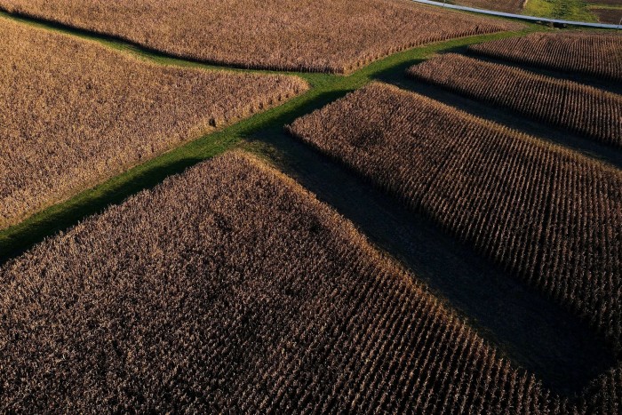 A corn harvest in Illinois