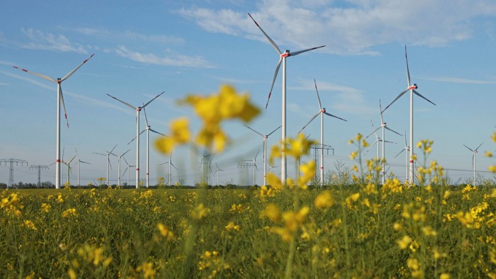 Flowers in a field of rapeseed as wind turbines producing electricity spin behind
