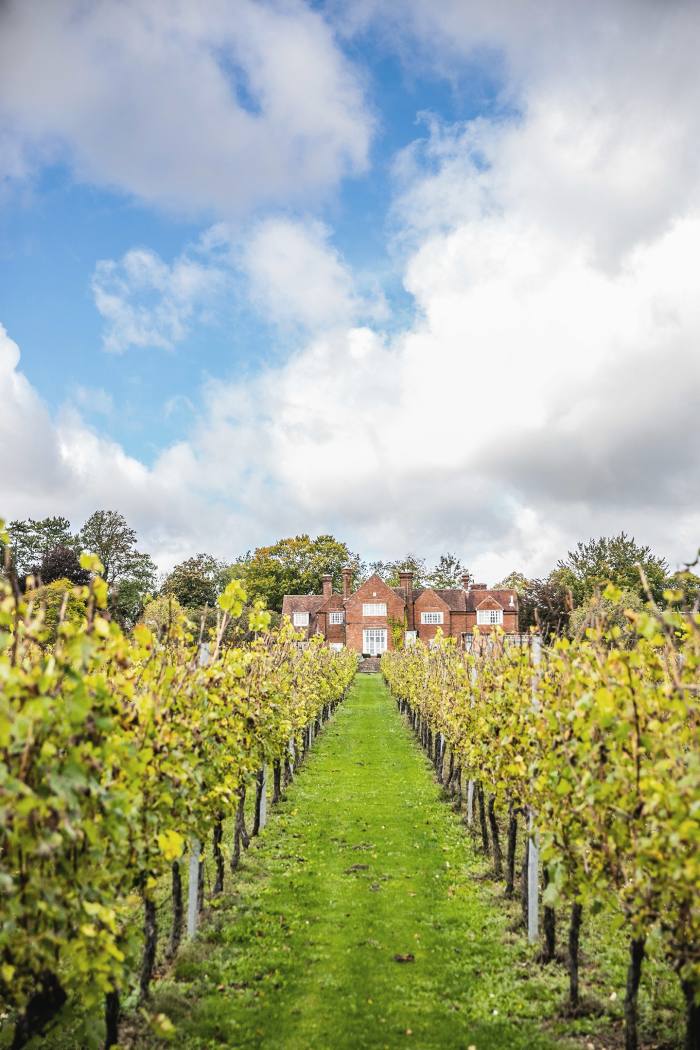 Hambledon, England’s oldest commercial vineyard