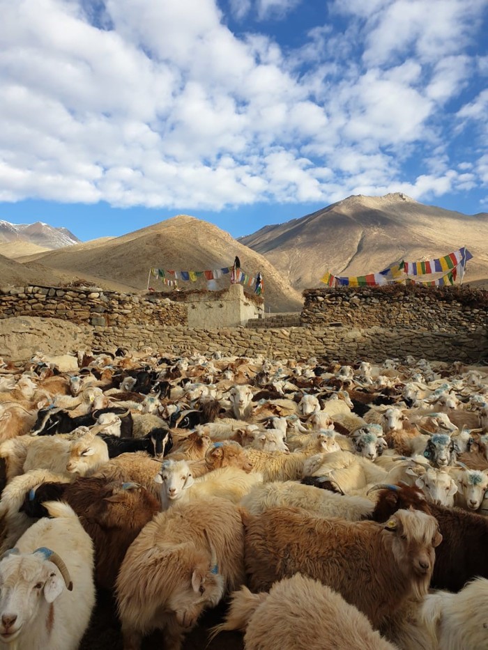 Brunello Cucinelli has invested €1mn in the Himalayan Regenerative Fashion Living Labs