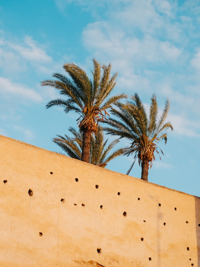 Palm trees above the city wall at Bab Doukkala