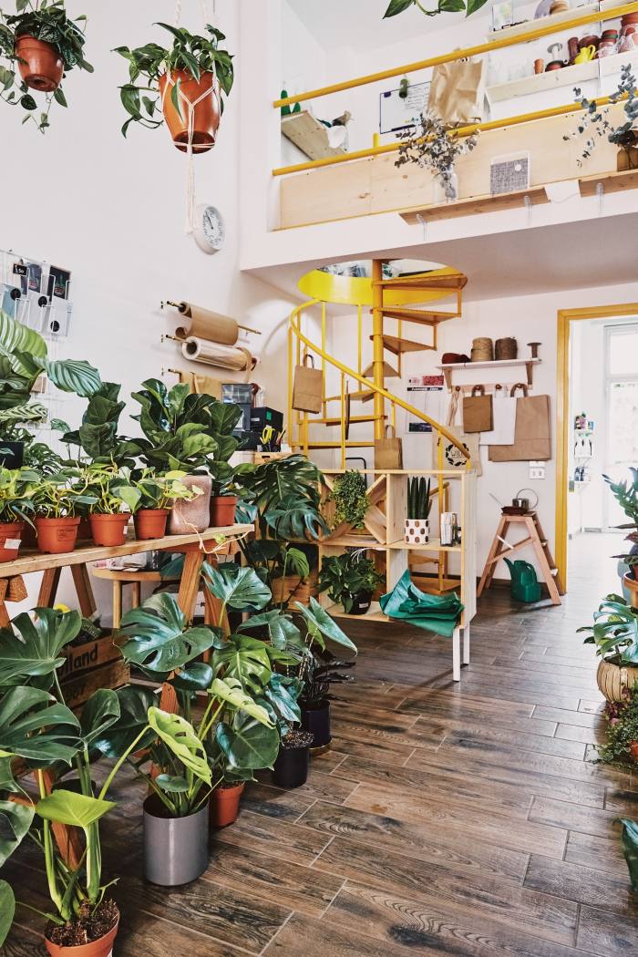“Like an urban-Scandi remake of The Secret Garden”– the shop’s interior