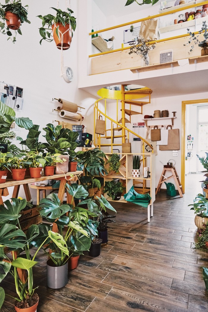 “Like an urban-Scandi remake of The Secret Garden”– the shop’s interior