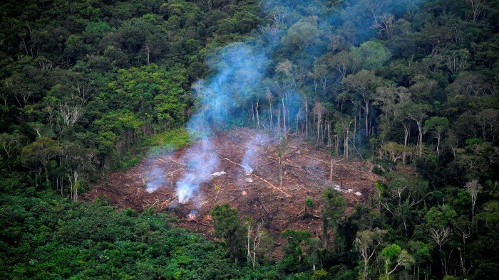 Deforestation of the Amazon in Colombia