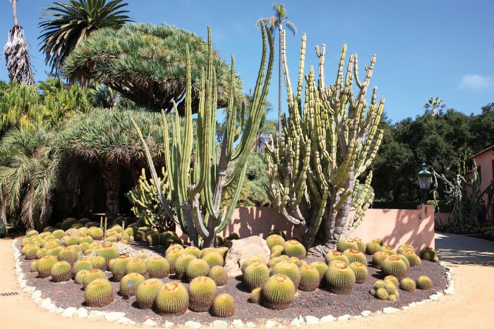 The cactus garden at Lotusland