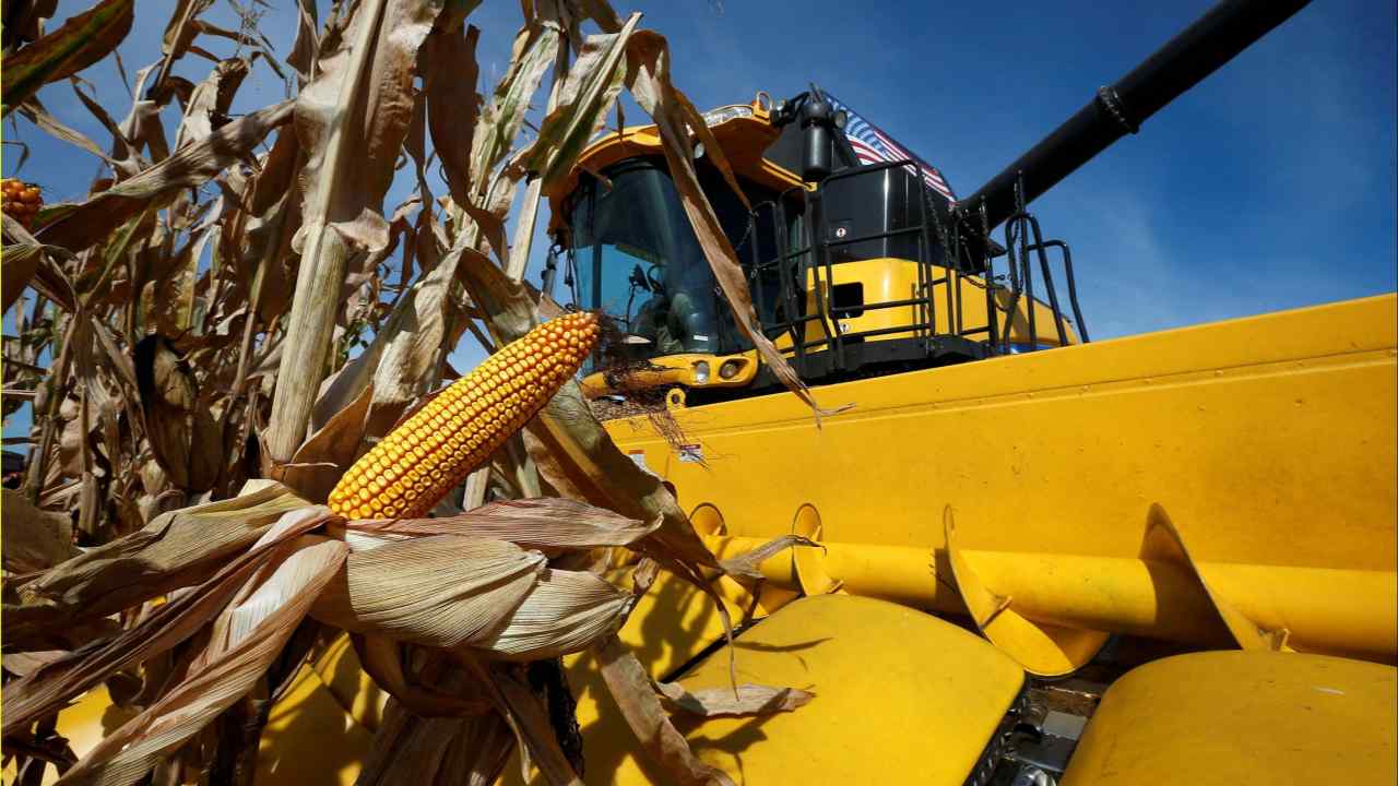 A combine machine harvests corn in a field in Minooka, Illinois