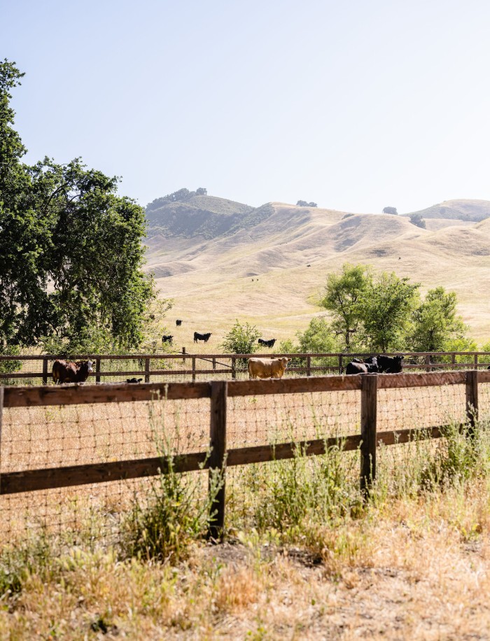The ranch is set in 10,500 acres of southern California