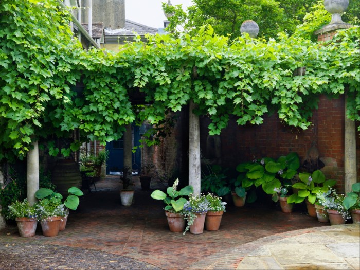 Stone courtyard with pergola covered in vine, beneath hostas in the shade