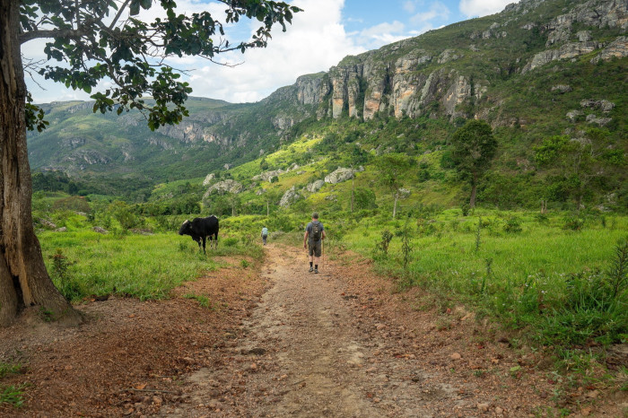 Two men walk along a trail some distance apart. A cow stands at the side of the road