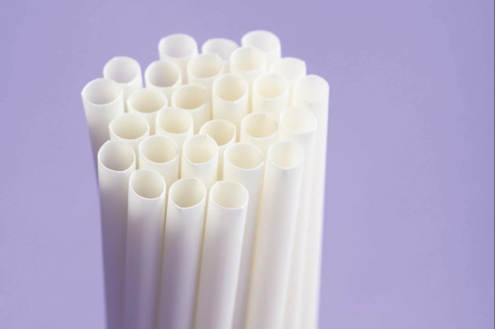 Biodegradable, compostable and zero-waste drinking straws