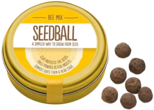 Seedball Bee Mix seedballs, £6, animalaidshop.org.uk