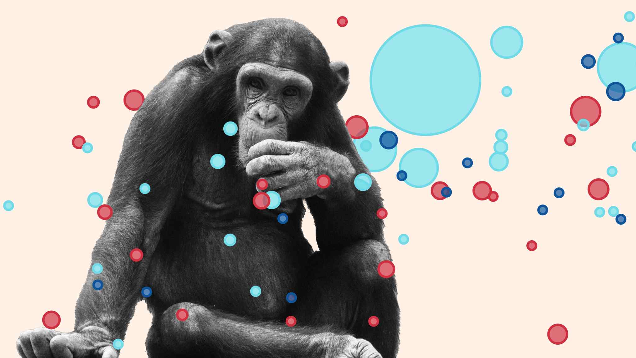 What chimpanzees tell us about how humans see data