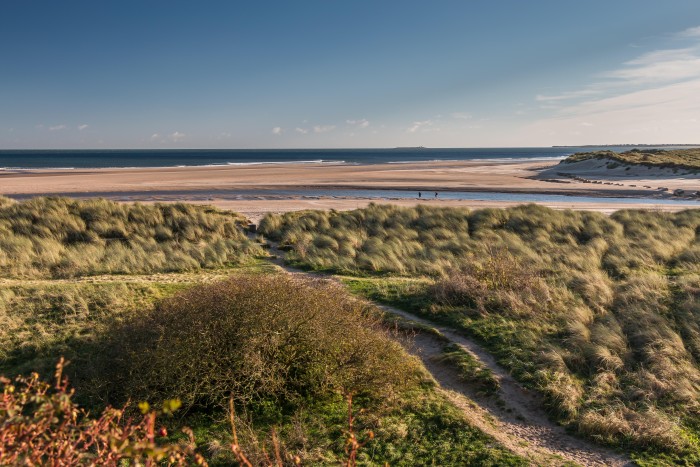 The grassy dunes that give on to Alnmouth in Northumberland