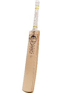 Marlow’s present for his son, a Newbery cricket bat