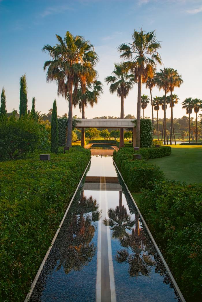 A linear pool and palm trees in a garden in Sotogrande, Spain