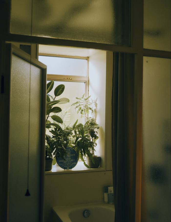 Plants next to the window in Broughton’s bathroom