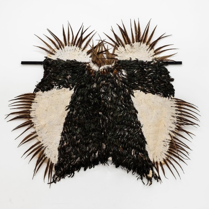 A large cape which has the shape of a pair of lungs, with a figure with outstretched hands made from black feathers across the centre