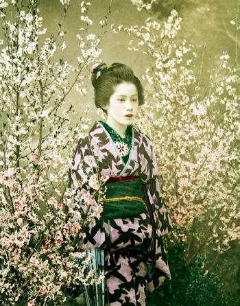 Nineteenth-century portrait of a girl among cherry-blossom trees
