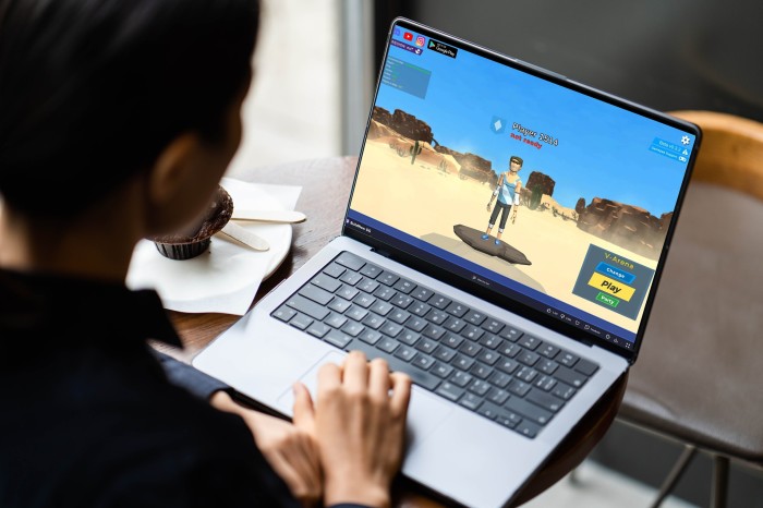 Person plays a browser-based game on their PC