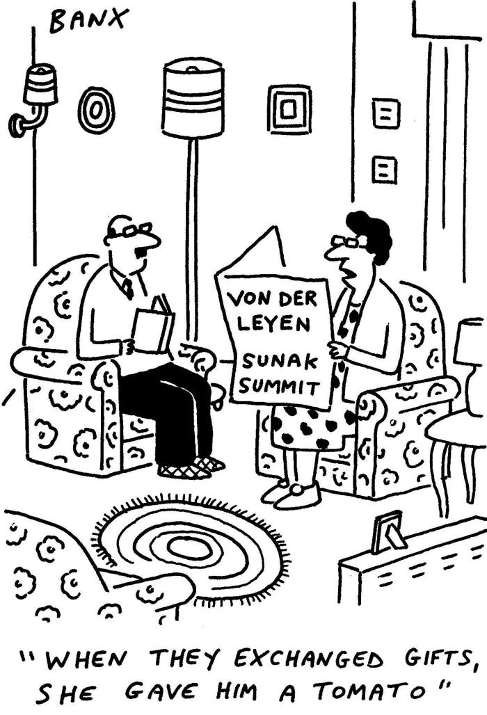 Cartoon of a man reading a book and a woman reading a newspaper that says ‘Van der Leyen Sunak Summit’. They are facing each other seated on armchairs