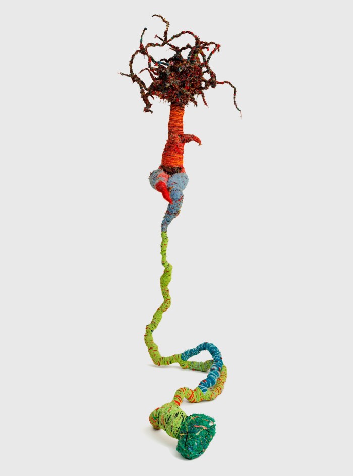 A colourful sculpture made from yarn and broken ceramics which looks like a plant’s long root system