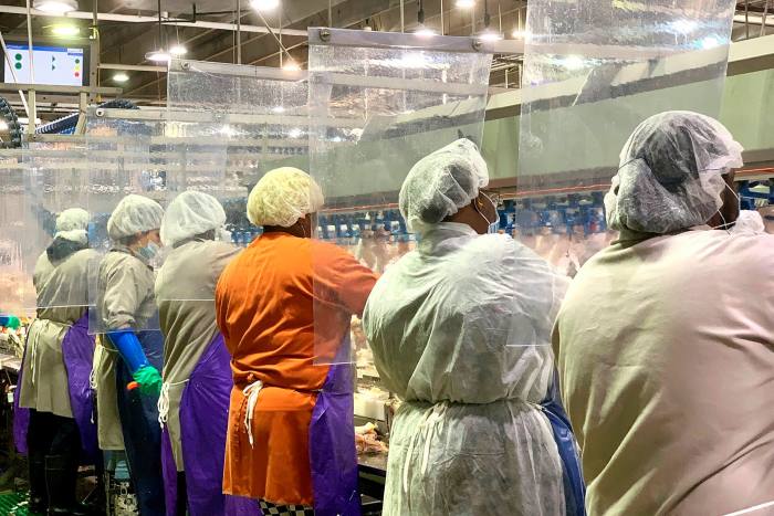 Workers wear protective masks and stand between plastic dividers at Tyson's poultry processing plant in Camilla, Georgia